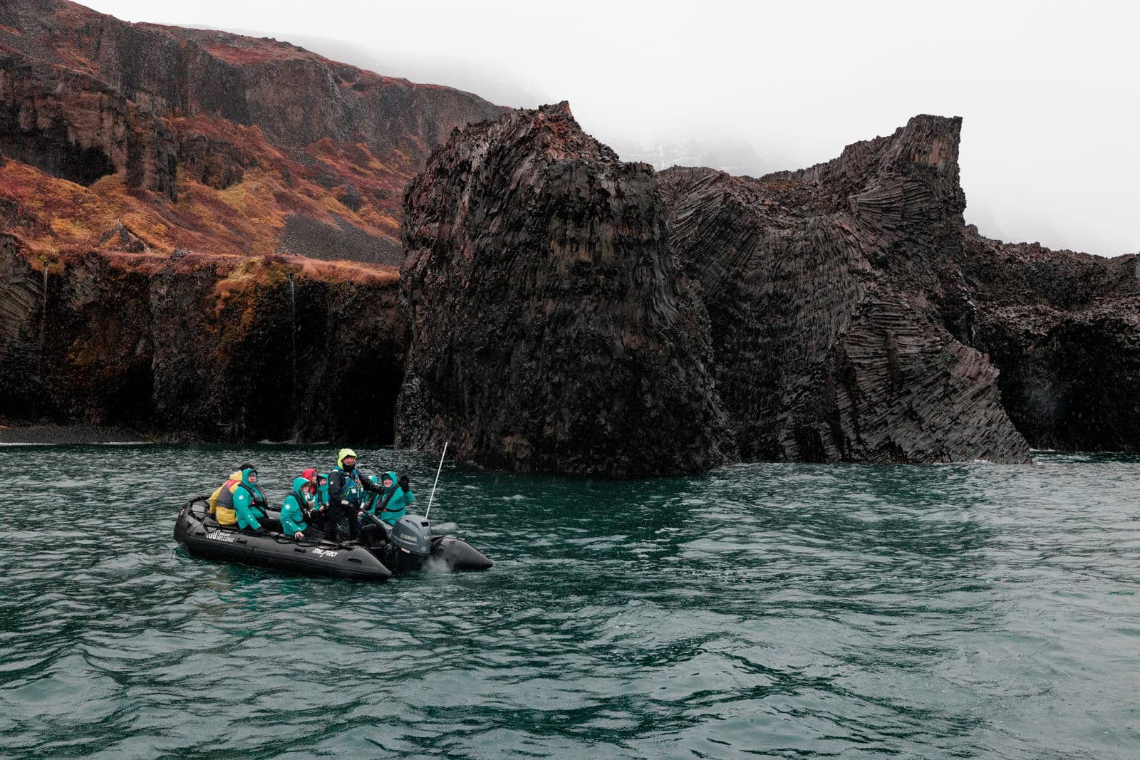 Penguins in Antarctica
