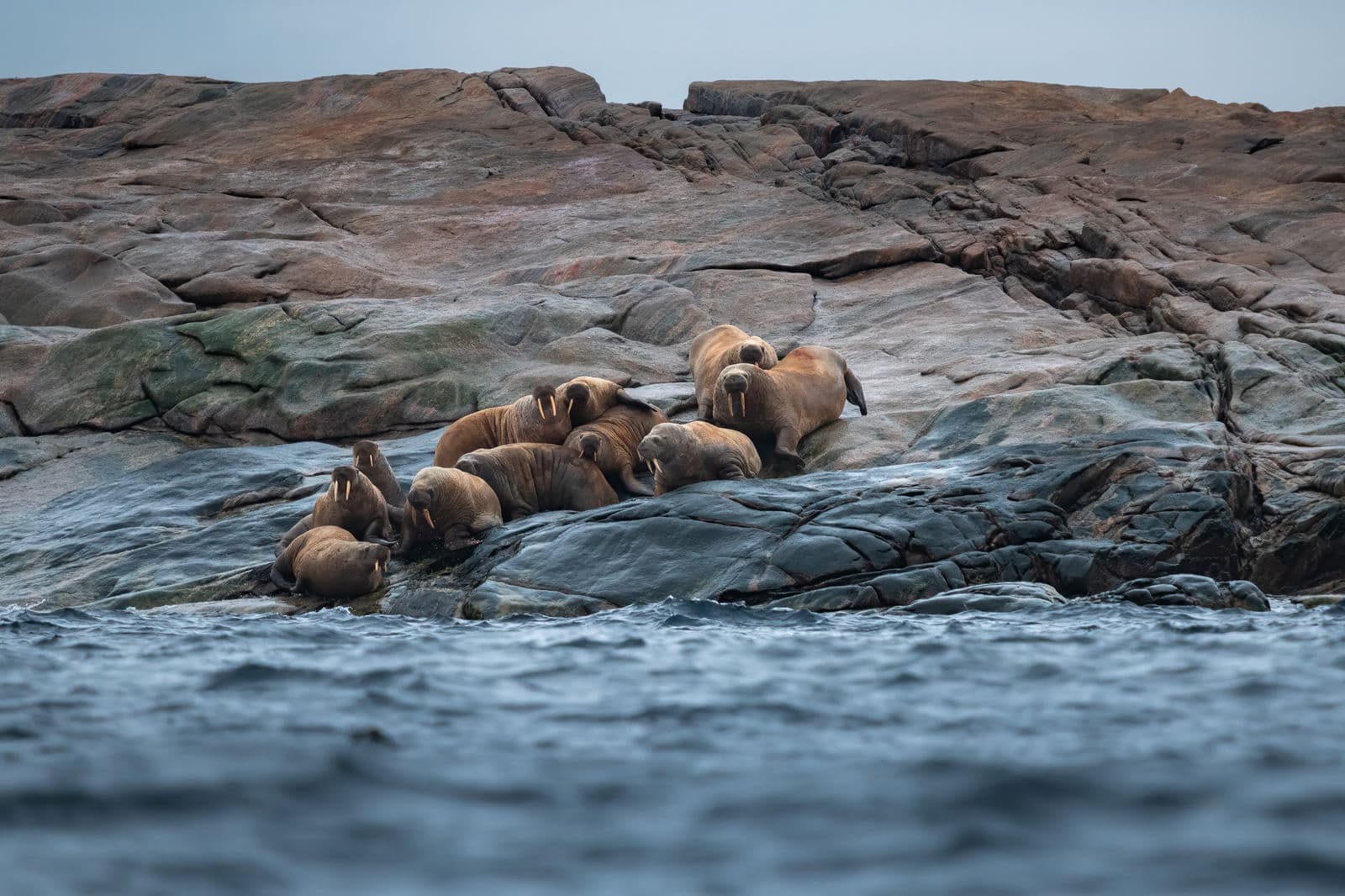 Lady Franklin Island, Nunavut, Canada
